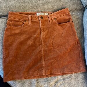 Patagonia Corduroy Skirt